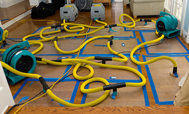 Professional Crawl Space Water Removal technician working in Newbury, OH